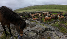 Iceland-Highland Tours-Kings Trail